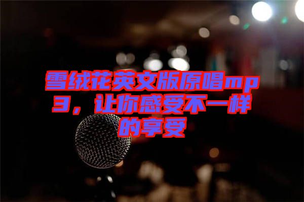 雪絨花英文版原唱mp3，讓你感受不一樣的享受