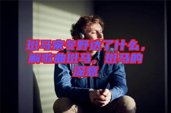 斑馬宋冬野達(dá)了什么，解歌曲斑馬，斑馬的深意