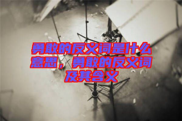 勇敢的反義詞是什么意思，勇敢的反義詞及其含義