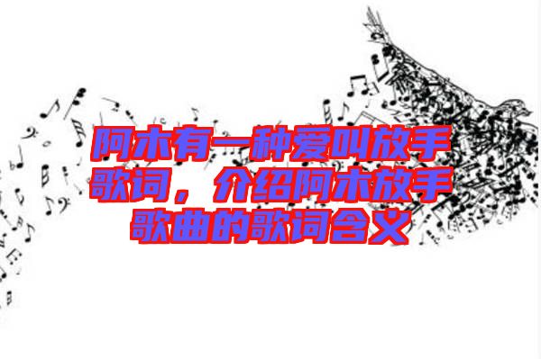 阿木有一種愛叫放手歌詞，介紹阿木放手歌曲的歌詞含義