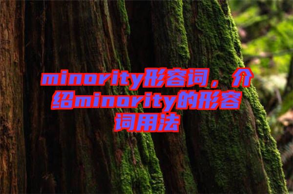 minority形容詞，介紹minority的形容詞用法