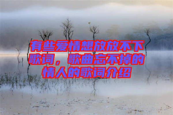 有些愛情想放放不下歌詞，歌曲忘不掉的情人的歌詞介紹