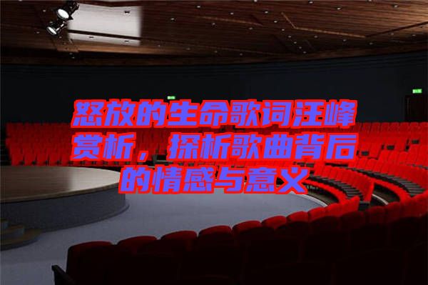 怒放的生命歌詞汪峰賞析，探析歌曲背后的情感與意義