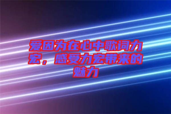 愛因?yàn)樵谛闹懈柙~力宏，感受力宏帶來的魅力