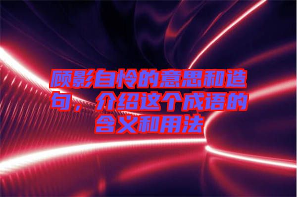 顧影自憐的意思和造句，介紹這個成語的含義和用法