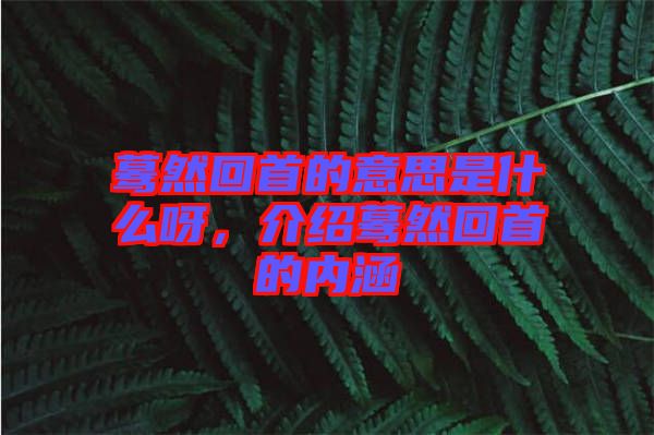 驀然回首的意思是什么呀，介紹驀然回首的內(nèi)涵