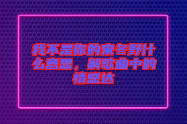 我不是你的宋冬野什么意思，解歌曲中的情感達(dá)