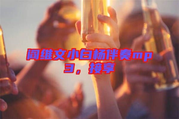 閻維文小白楊伴奏mp3，接享