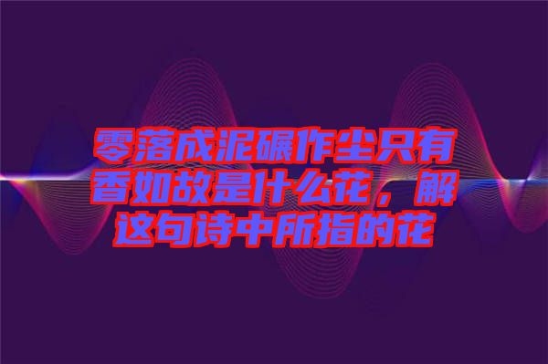 零落成泥碾作塵只有香如故是什么花，解這句詩中所指的花