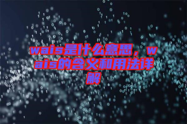 wais是什么意思，wais的含義和用法詳解