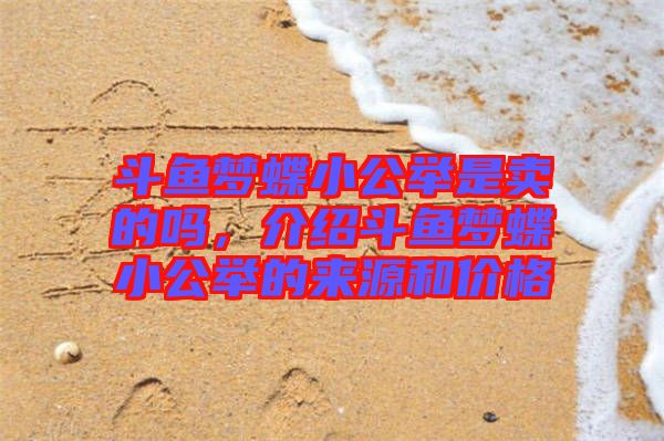 斗魚夢蝶小公舉是賣的嗎，介紹斗魚夢蝶小公舉的來源和價格