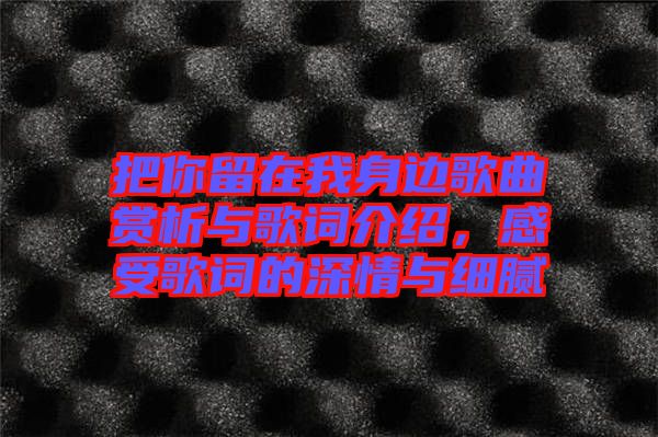 把你留在我身邊歌曲賞析與歌詞介紹，感受歌詞的深情與細(xì)膩