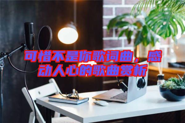 可惜不是你歌詞曲，感動人心的歌曲賞析