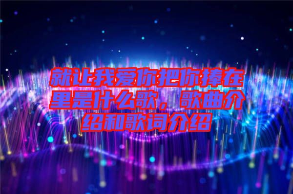 就讓我愛(ài)你把你捧在里是什么歌，歌曲介紹和歌詞介紹