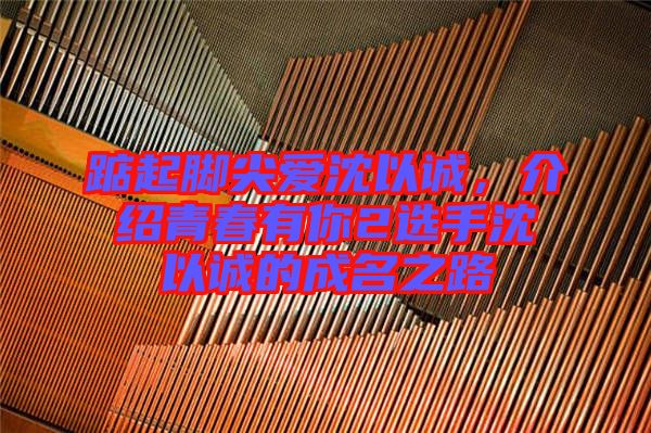 踮起腳尖愛沈以誠，介紹青春有你2選手沈以誠的成名之路