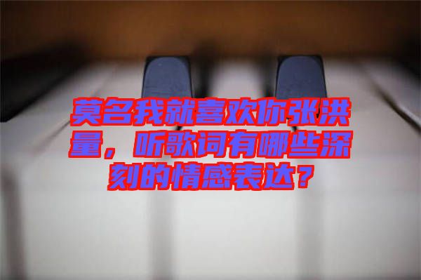 莫名我就喜歡你張洪量，聽歌詞有哪些深刻的情感表達？