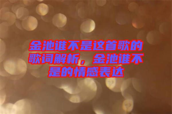 金池誰不是這首歌的歌詞解析，金池誰不是的情感表達(dá)