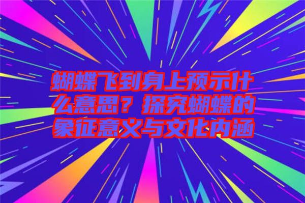 蝴蝶飛到身上預(yù)示什么意思？探究蝴蝶的象征意義與文化內(nèi)涵