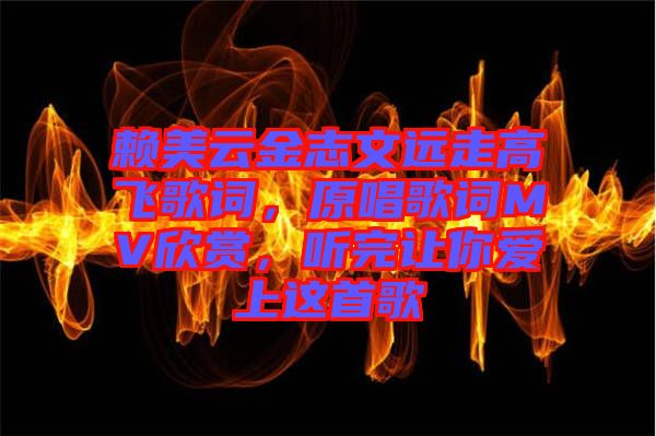 賴美云金志文遠走高飛歌詞，原唱歌詞MV欣賞，聽完讓你愛上這首歌