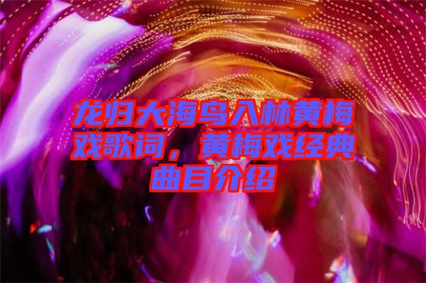 龍歸大海鳥入林黃梅戲歌詞，黃梅戲經(jīng)典曲目介紹