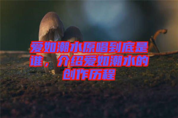 愛如潮水原唱到底是誰，介紹愛如潮水的創(chuàng)作歷程