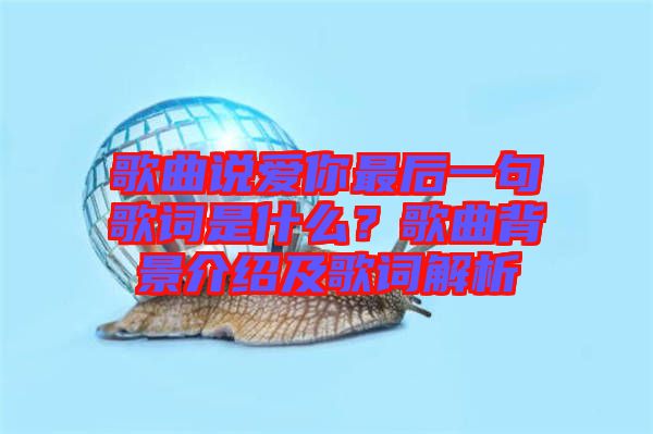 歌曲說愛你最后一句歌詞是什么？歌曲背景介紹及歌詞解析