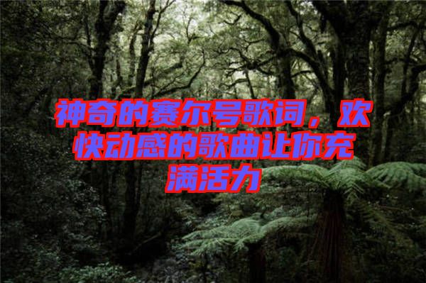 神奇的賽爾號歌詞，歡快動(dòng)感的歌曲讓你充滿活力