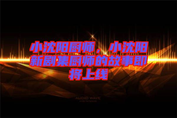 小沈陽廚師，小沈陽新劇集廚師的故事即將上線