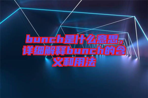 bunch是什么意思，詳細(xì)解釋bunch的含義和用法