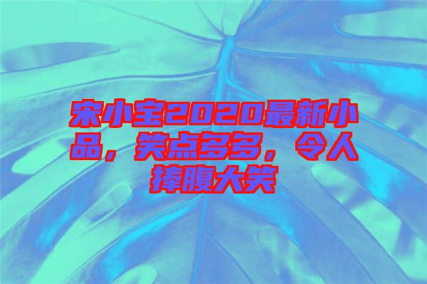 宋小寶2020最新小品，笑點(diǎn)多多，令人捧腹大笑