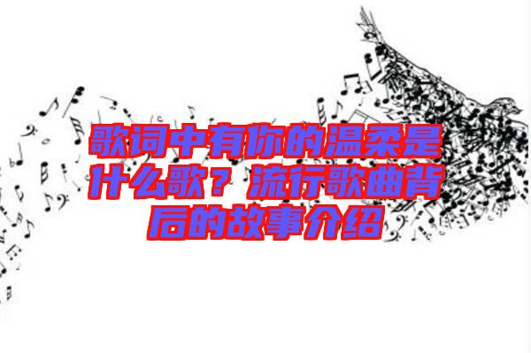 歌詞中有你的溫柔是什么歌？流行歌曲背后的故事介紹