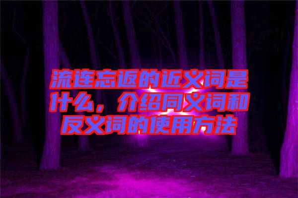 流連忘返的近義詞是什么，介紹同義詞和反義詞的使用方法