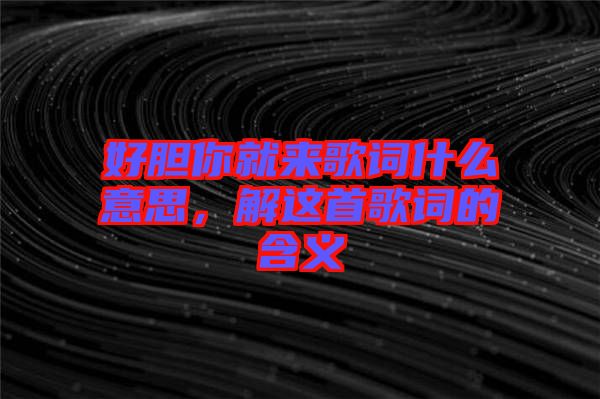 好膽你就來歌詞什么意思，解這首歌詞的含義