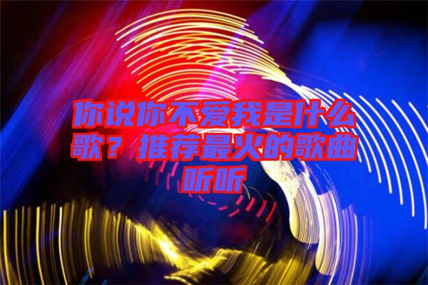 你說你不愛我是什么歌？推薦最火的歌曲聽聽