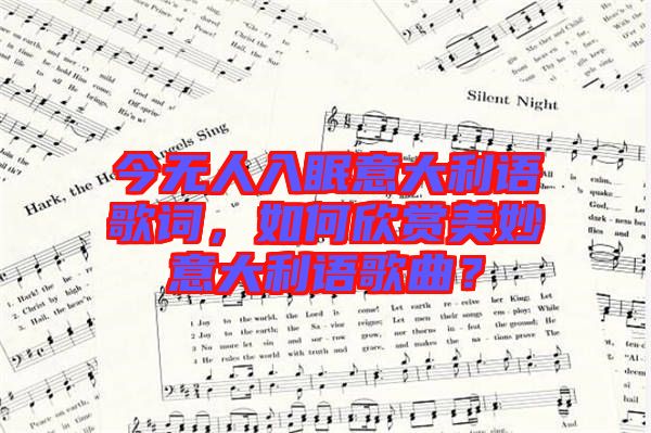 今無人入眠意大利語歌詞，如何欣賞美妙意大利語歌曲？