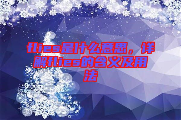 flies是什么意思，詳解flies的含義及用法