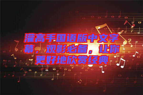 灌高手國語版中文字幕，觀影必備，讓你更好地欣賞經(jīng)典