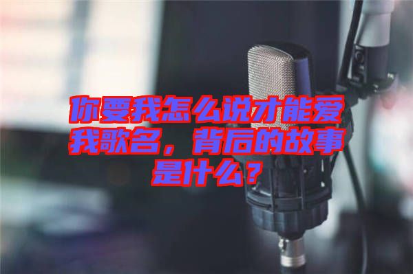 你要我怎么說(shuō)才能愛(ài)我歌名，背后的故事是什么？