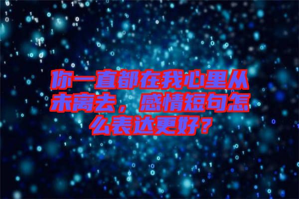 你一直都在我心里從未離去，感情短句怎么表達更好？