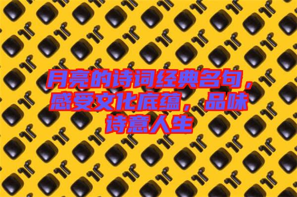 月亮的詩詞經典名句，感受文化底蘊，品味詩意人生