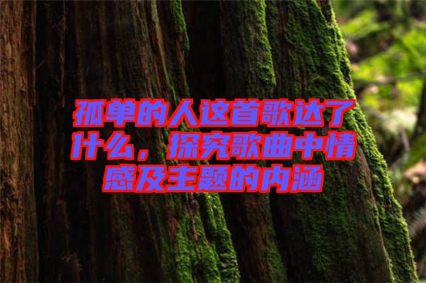 孤單的人這首歌達了什么，探究歌曲中情感及主題的內(nèi)涵