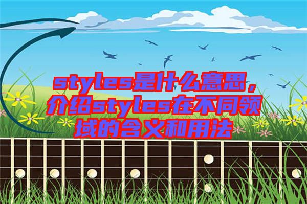 styles是什么意思，介紹styles在不同領(lǐng)域的含義和用法