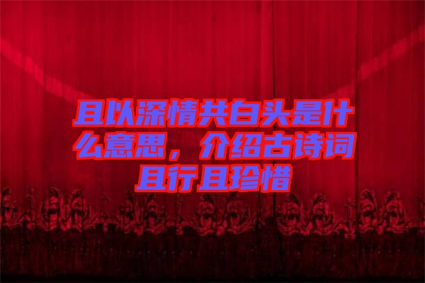 且以深情共白頭是什么意思，介紹古詩(shī)詞且行且珍惜