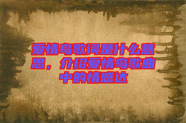 愛情鳥歌詞是什么意思，介紹愛情鳥歌曲中的情感達