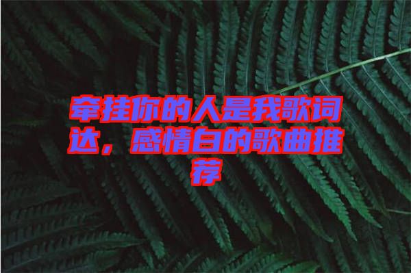 牽掛你的人是我歌詞達，感情白的歌曲推薦