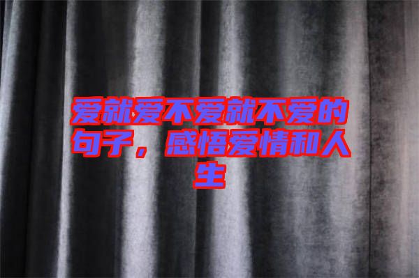 愛就愛不愛就不愛的句子，感悟愛情和人生