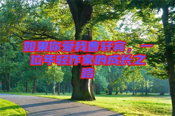 如果你愛我曹軒賓，一位年輕作家的成長(zhǎng)之路