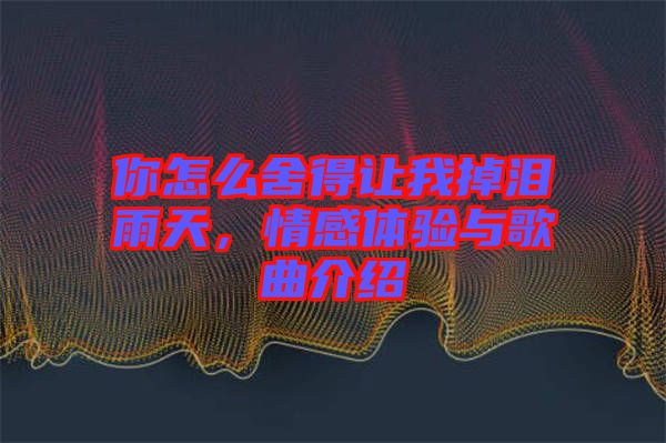 你怎么舍得讓我掉淚雨天，情感體驗(yàn)與歌曲介紹