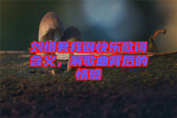 劉惜君我很快樂歌詞含義，解歌曲背后的情感