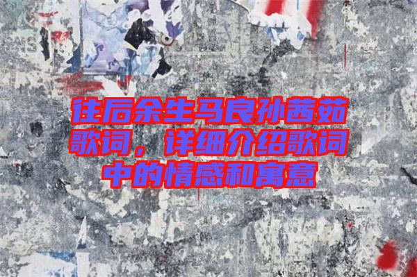 往后余生馬良孫茜茹歌詞，詳細(xì)介紹歌詞中的情感和寓意